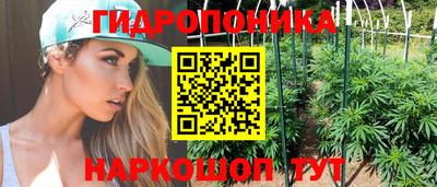 mix Кингисепп