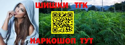 дживик Камышлов